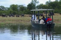 Shire River boat safari